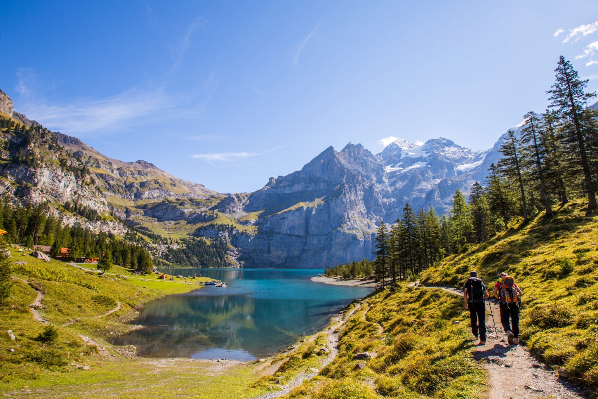 ヴィア・アルパイン「ベア・トレック」を体験：スイスのハイキング・アドベンチャー